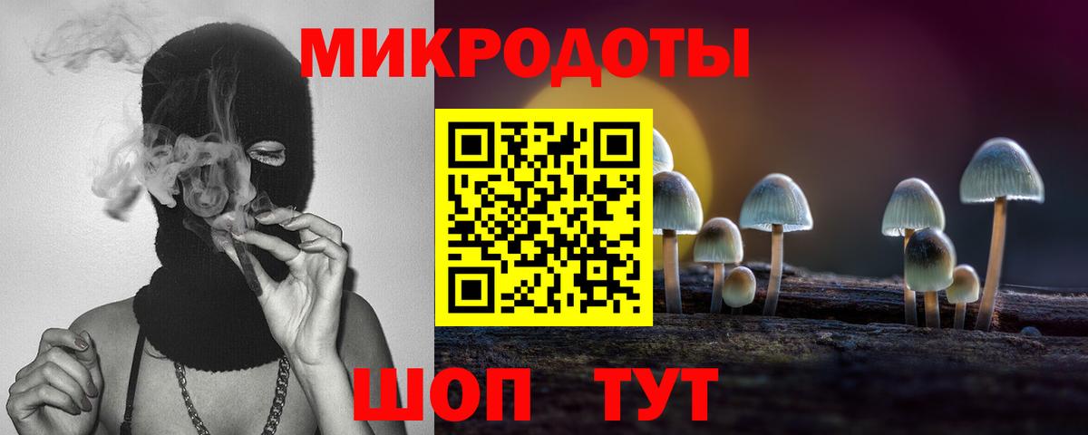 Псилоцибиновые грибы Psilocybe  Вход с VPN  Гай 